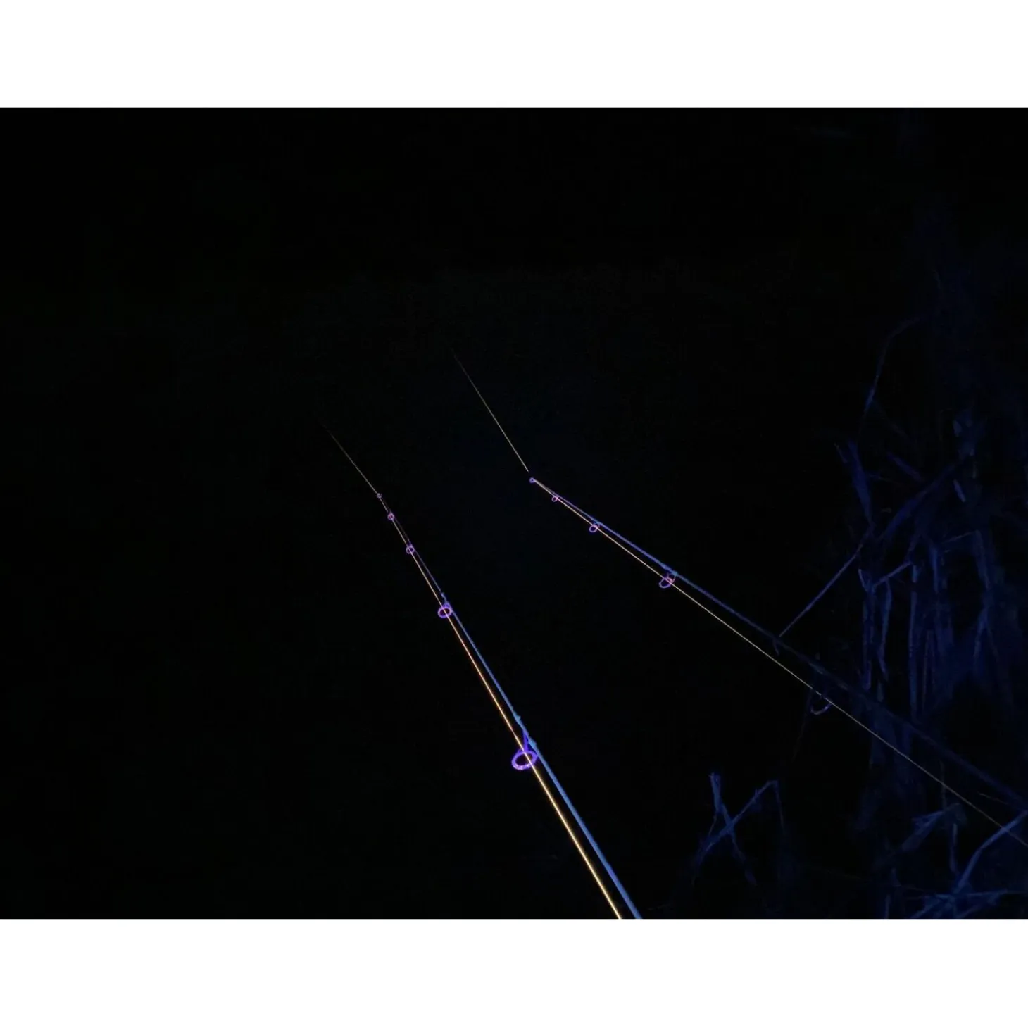 Anaconda Vipex UV-Blackflash 68 Mega LED