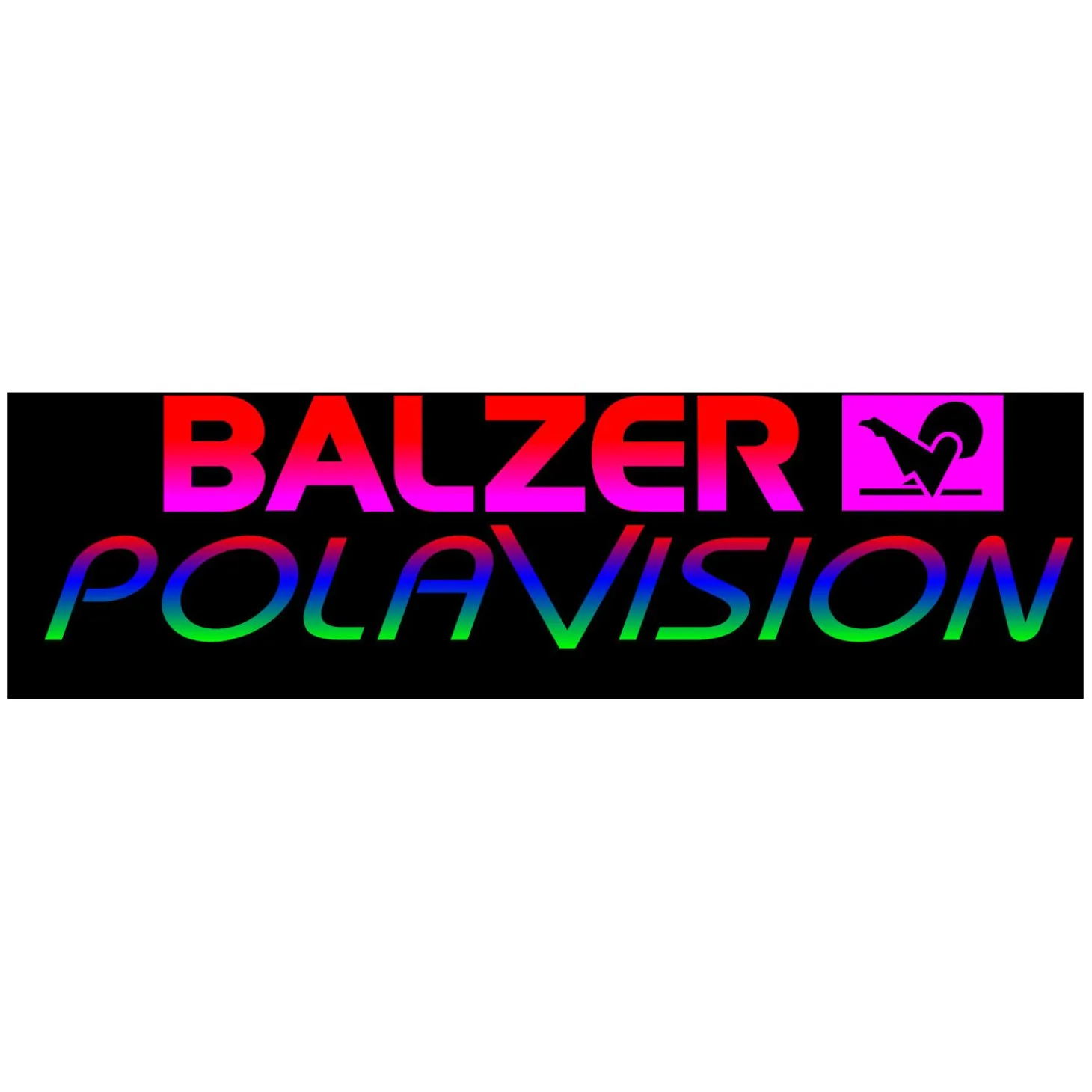 Balzer Polavision Outlaw Brille Top Gun
