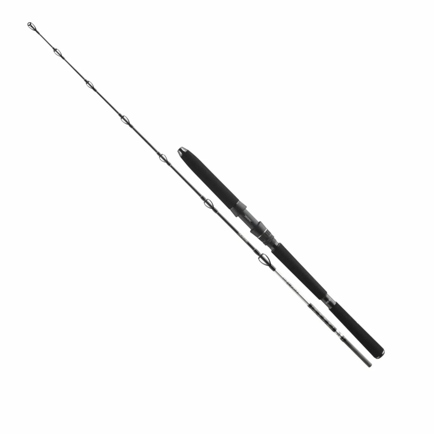 Daiwa BG Meeresruten