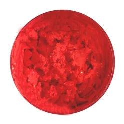 Spro Trout Master Pro Paste Forellenteig